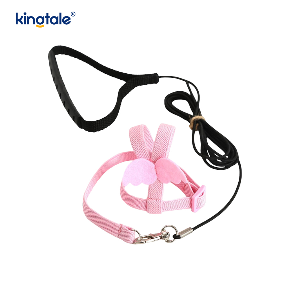 Saincheapadh Adjustable Flying Rope Peony Parrot Úim agus Leash Set