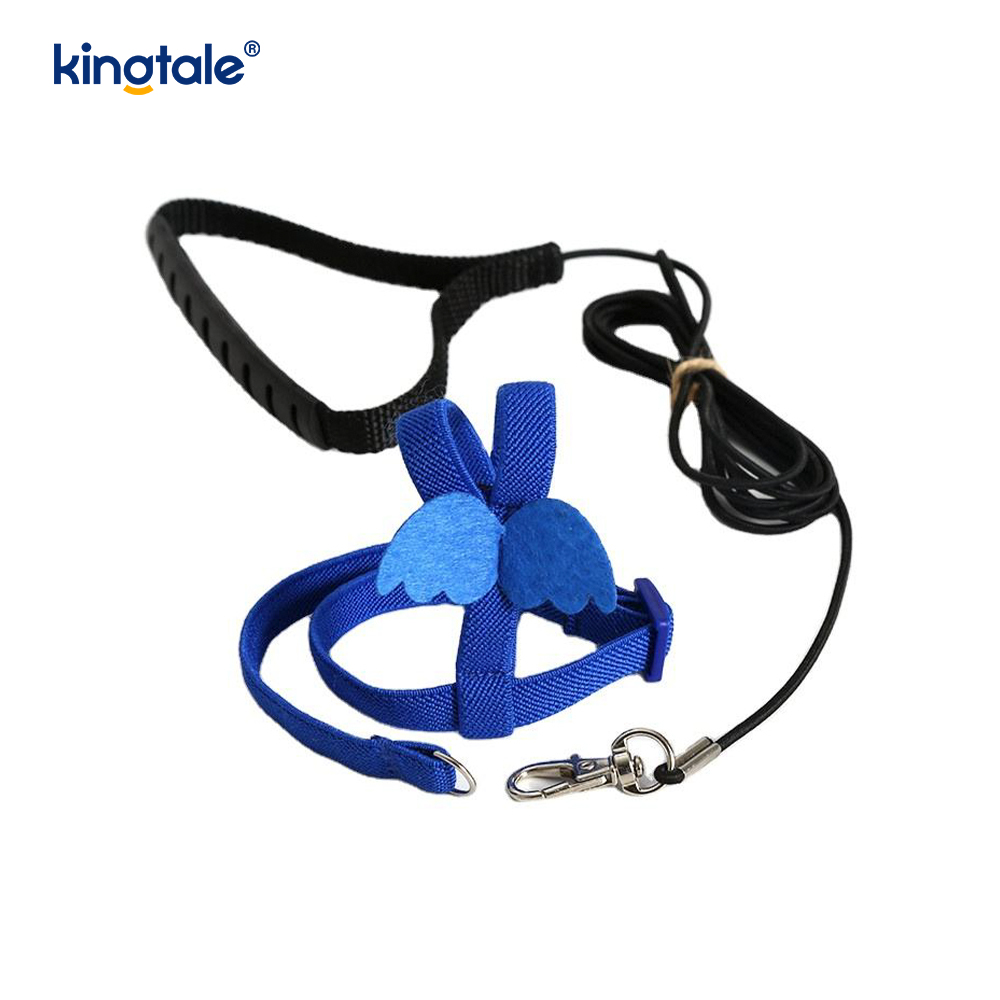 Saincheapadh Adjustable Flying Rope Peony Parrot Úim agus Leash Set