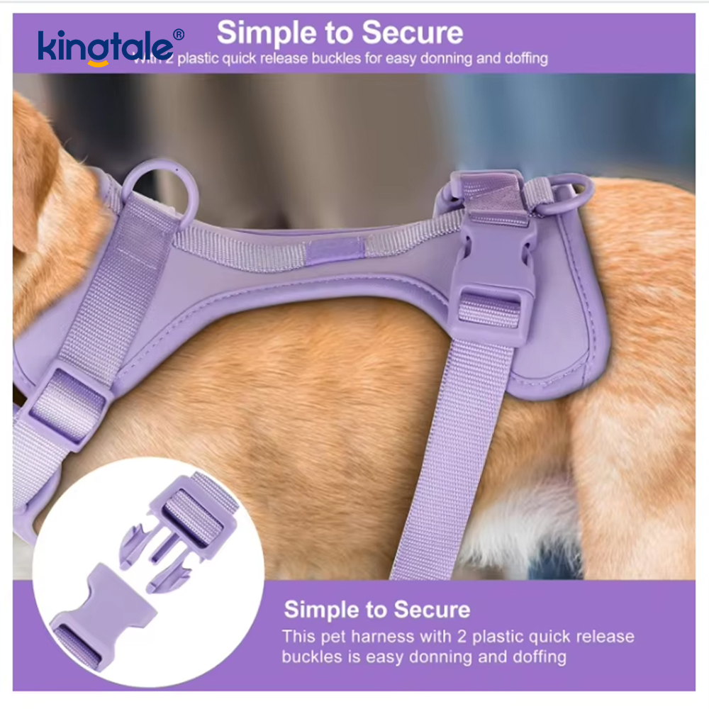 Saincheaptha Faiseanta Éadrom Uiscedhíonach Pvc Madraí Úim Collar Leash