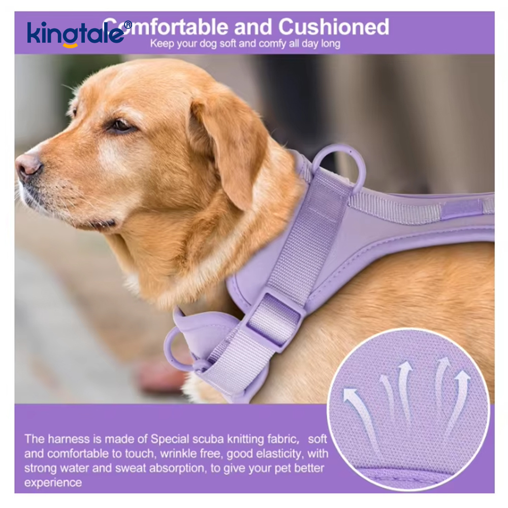 Saincheaptha Faiseanta Éadrom Uiscedhíonach Pvc Madraí Úim Collar Leash