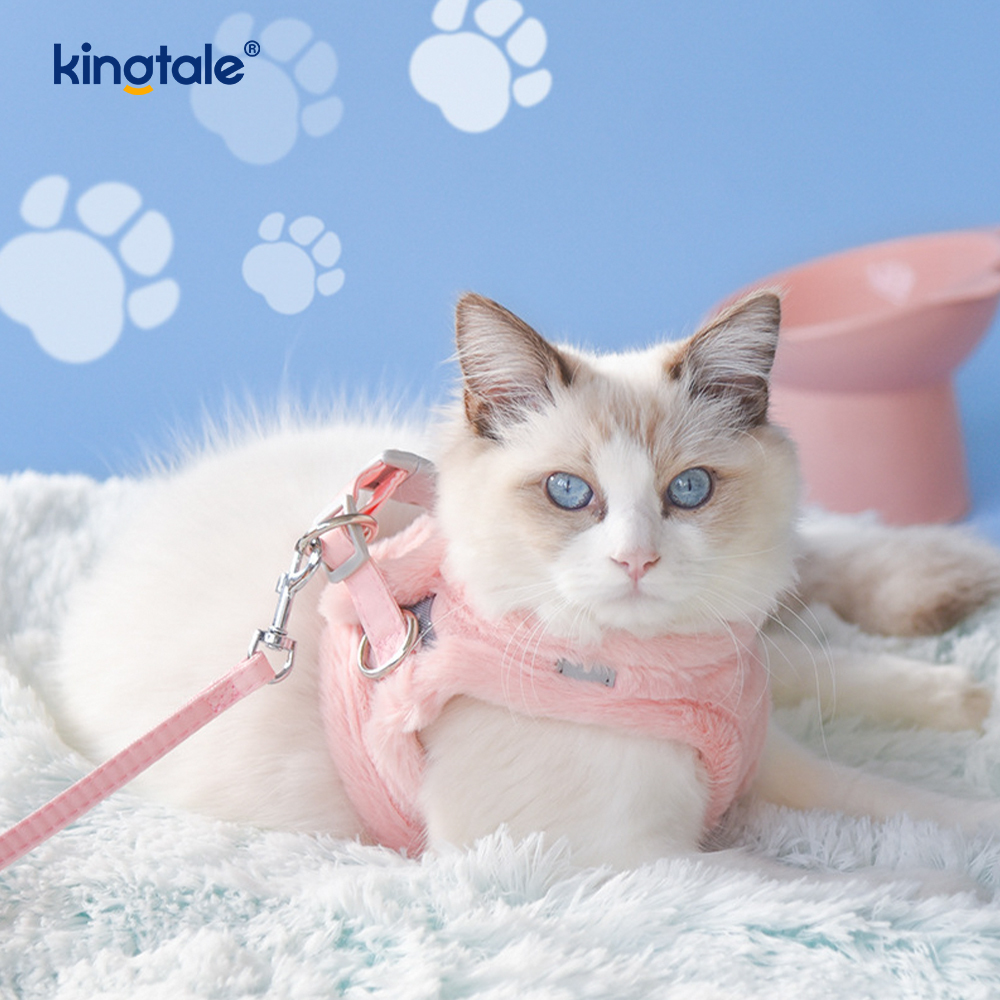 Úim Madraí Peataí Plush Leash Socraigh Veist Úim Madraí Siúil an Fhómhair