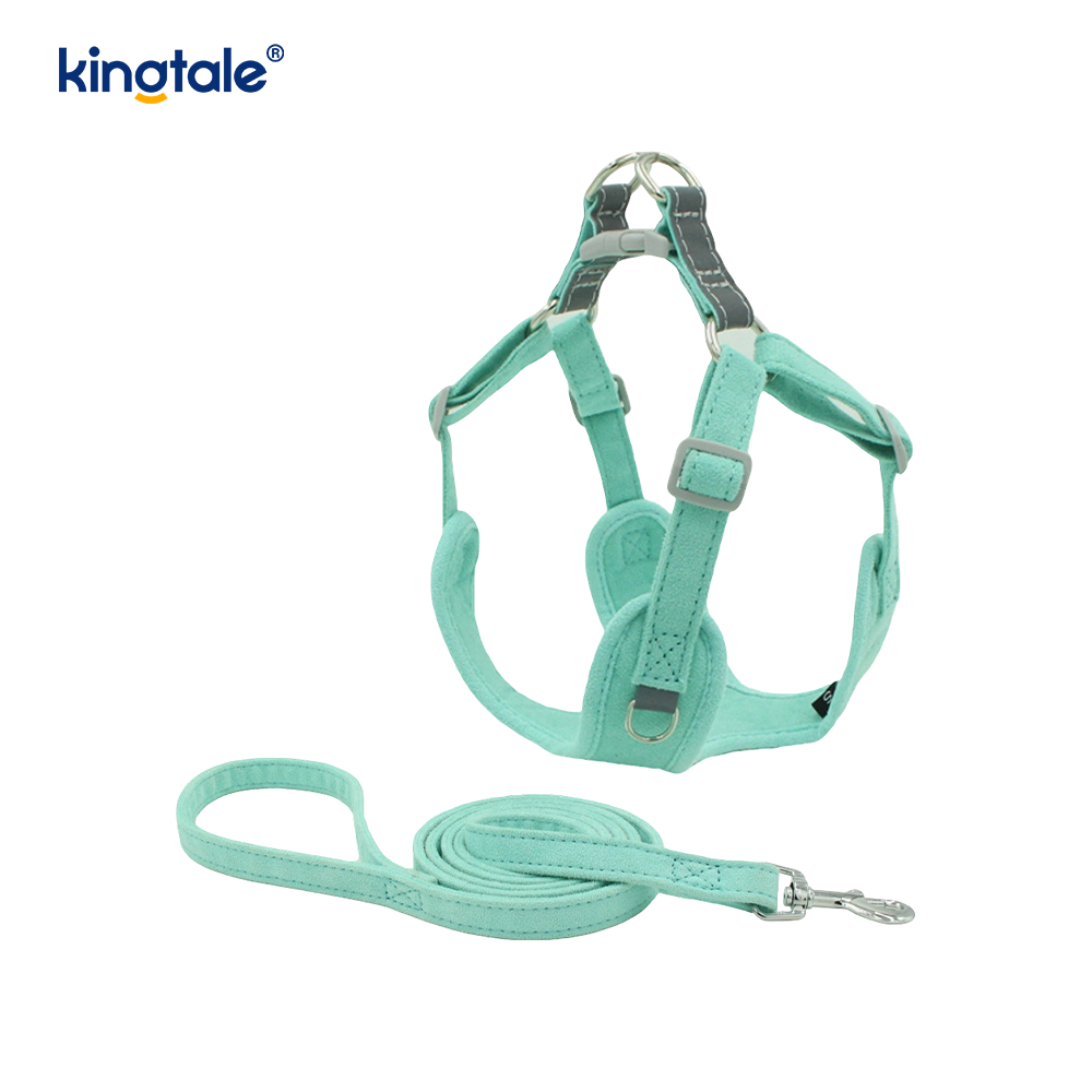 Leathar Inchoigeartaithe Peataí Beaga Cat Bling Rhinestone Harness & Leash Set