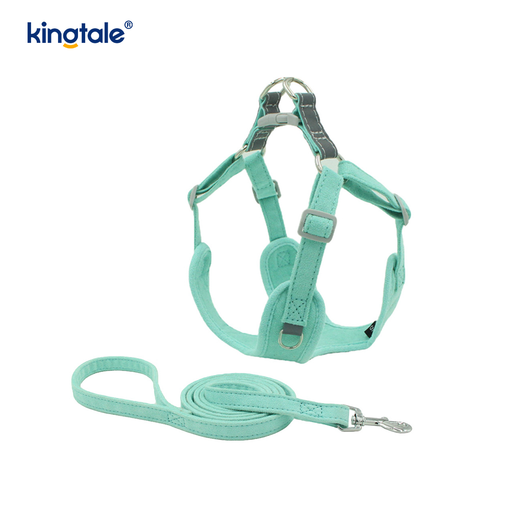 Leathar Inchoigeartaithe Peataí Beaga Cat Bling Rhinestone Harness & Leash Set