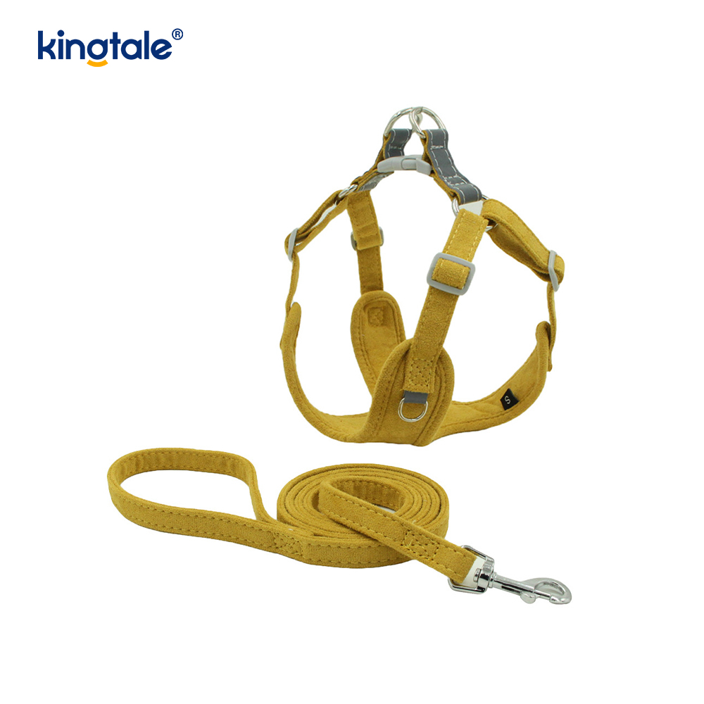 Leathar Inchoigeartaithe Peataí Beaga Cat Bling Rhinestone Harness & Leash Set