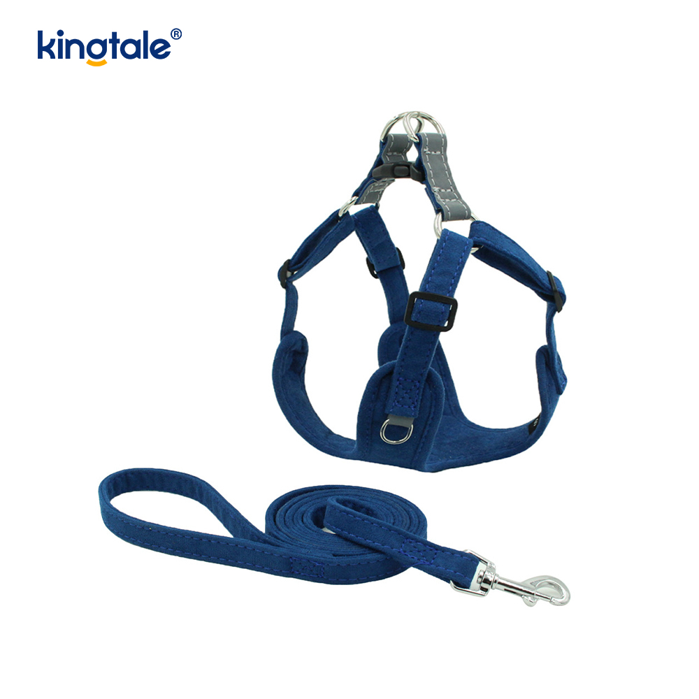 Leathar Inchoigeartaithe Peataí Beaga Cat Bling Rhinestone Harness & Leash Set