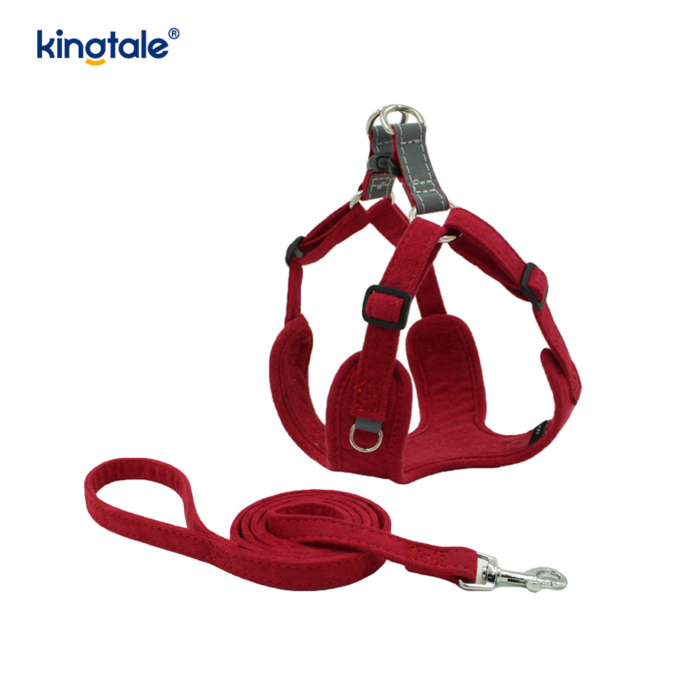Leathar Inchoigeartaithe Peataí Beaga Cat Bling Rhinestone Harness & Leash Set