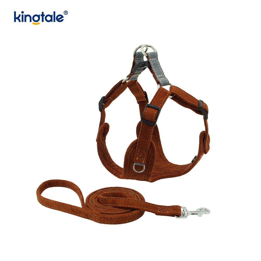 Leathar Inchoigeartaithe Peataí Beaga Cat Bling Rhinestone Harness & Leash Set