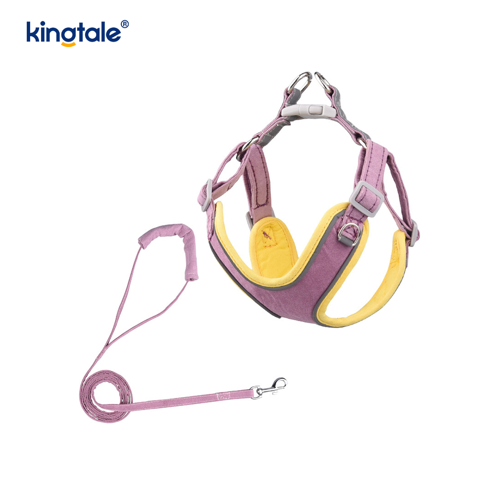 Leathar Inchoigeartaithe Peataí Beaga Cat Bling Rhinestone Harness & Leash Set