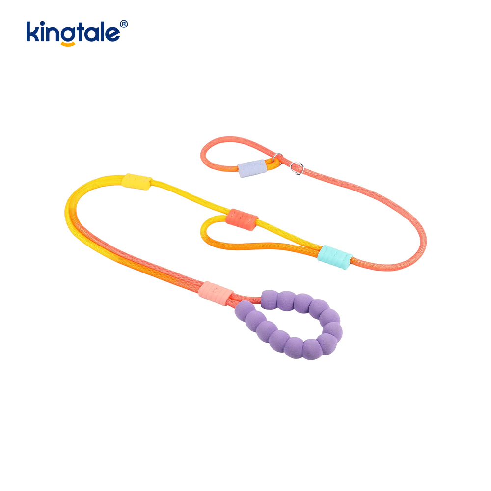 Uimh Tarraingt Níolón Durable Adjustable Láimhseáil Dúbailte Duillín Madraí Colorful Leash