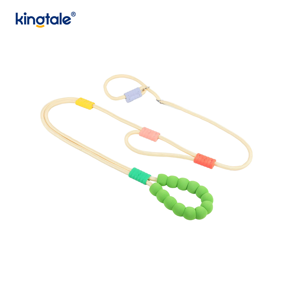 Uimh Tarraingt Níolón Durable Adjustable Láimhseáil Dúbailte Duillín Madraí Colorful Leash