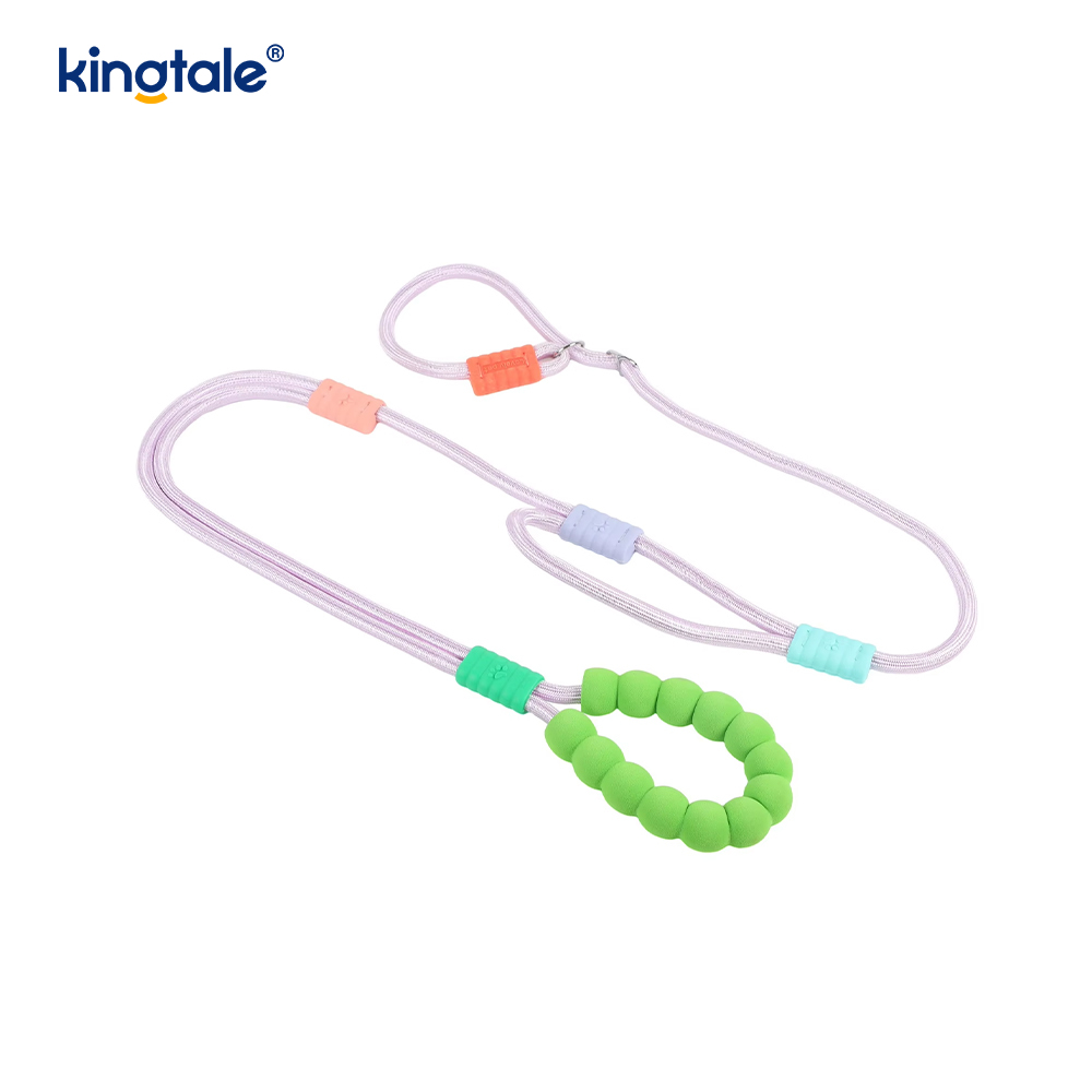 Uimh Tarraingt Níolón Durable Adjustable Láimhseáil Dúbailte Duillín Madraí Colorful Leash