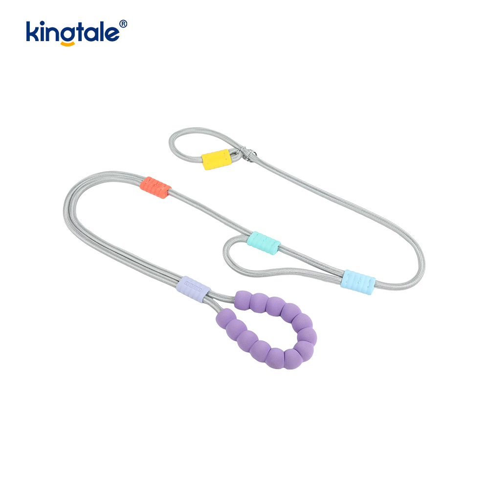 Uimh Tarraingt Níolón Durable Adjustable Láimhseáil Dúbailte Duillín Madraí Colorful Leash