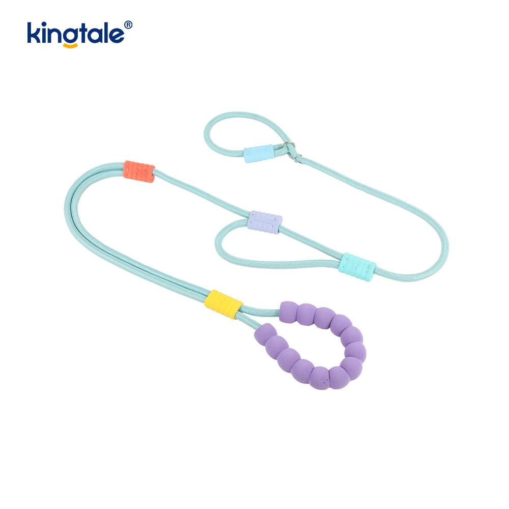 Uimh Tarraingt Níolón Durable Adjustable Láimhseáil Dúbailte Duillín Madraí Colorful Leash