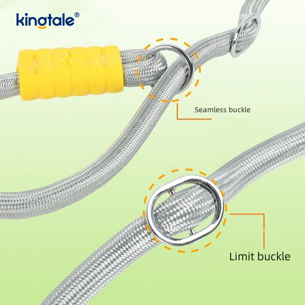 Uimh Tarraingt Níolón Durable Adjustable Láimhseáil Dúbailte Duillín Madraí Colorful Leash