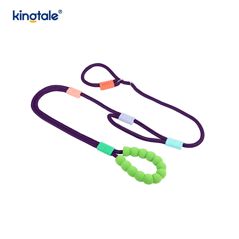 Uimh Tarraingt Níolón Durable Adjustable Láimhseáil Dúbailte Duillín Madraí Colorful Leash
