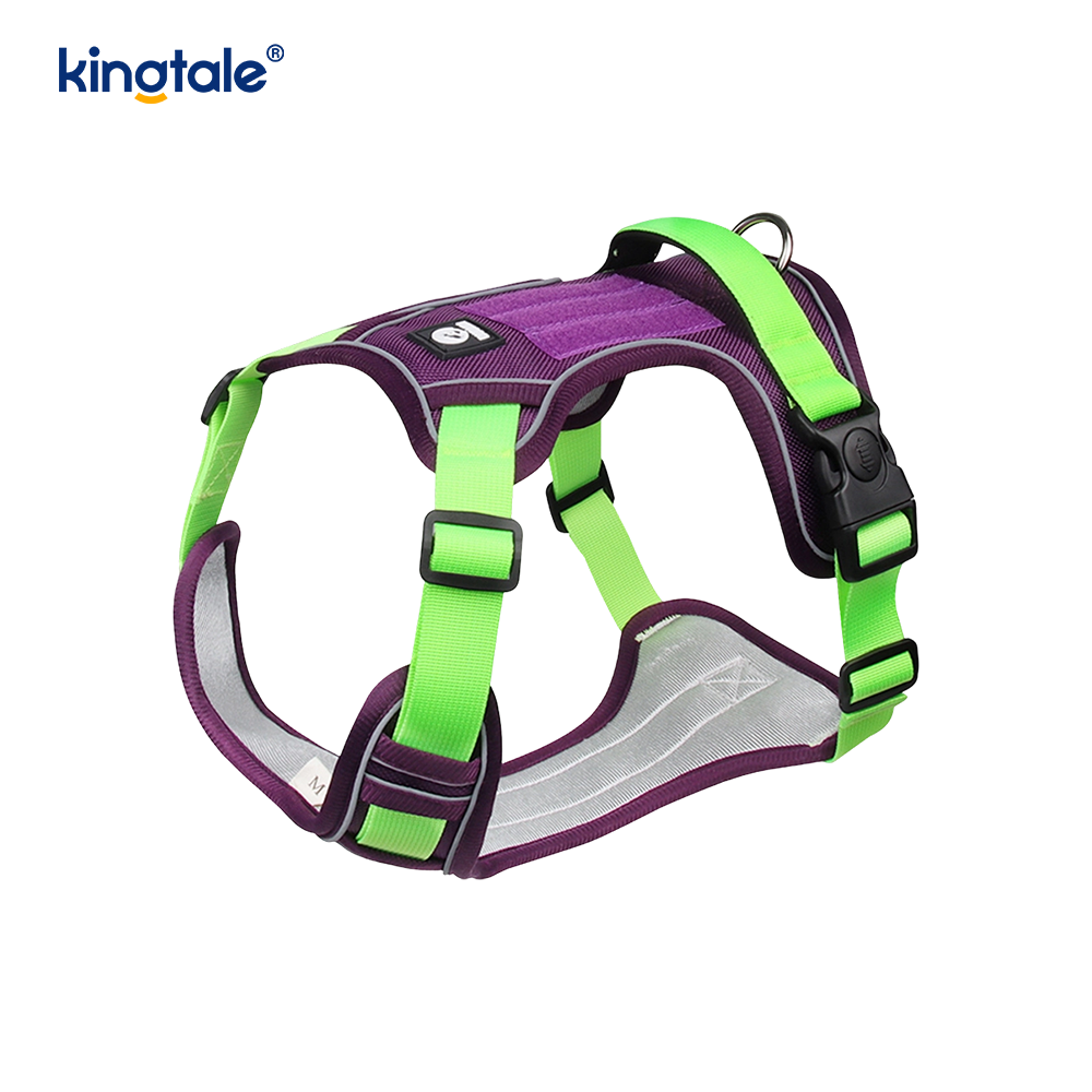 Rivet níolón Úim Spóirt Breathable Machnamhach Adjustable Le Leash Madraí