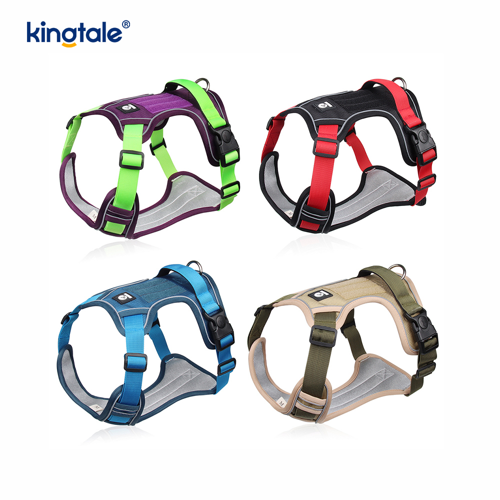 Rivet níolón Úim Spóirt Breathable Machnamhach Adjustable Le Leash Madraí