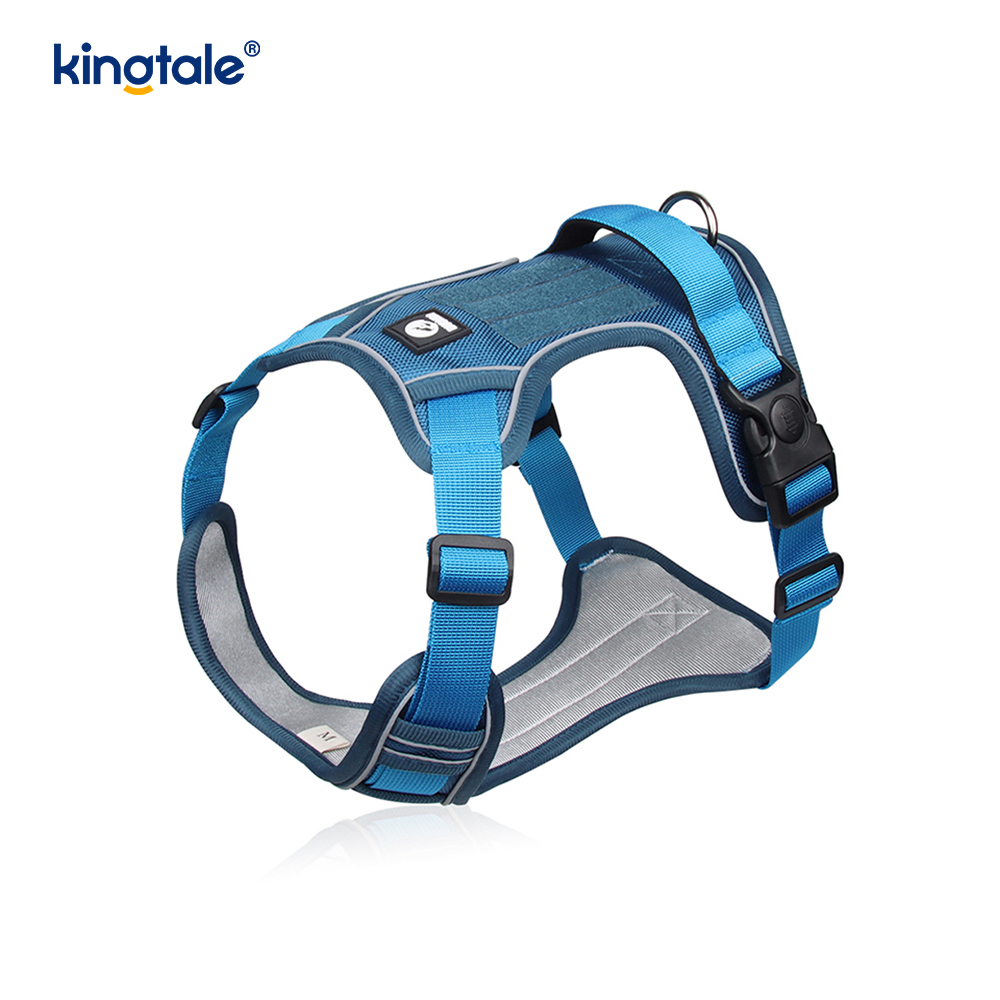 Rivet níolón Úim Spóirt Breathable Machnamhach Adjustable Le Leash Madraí