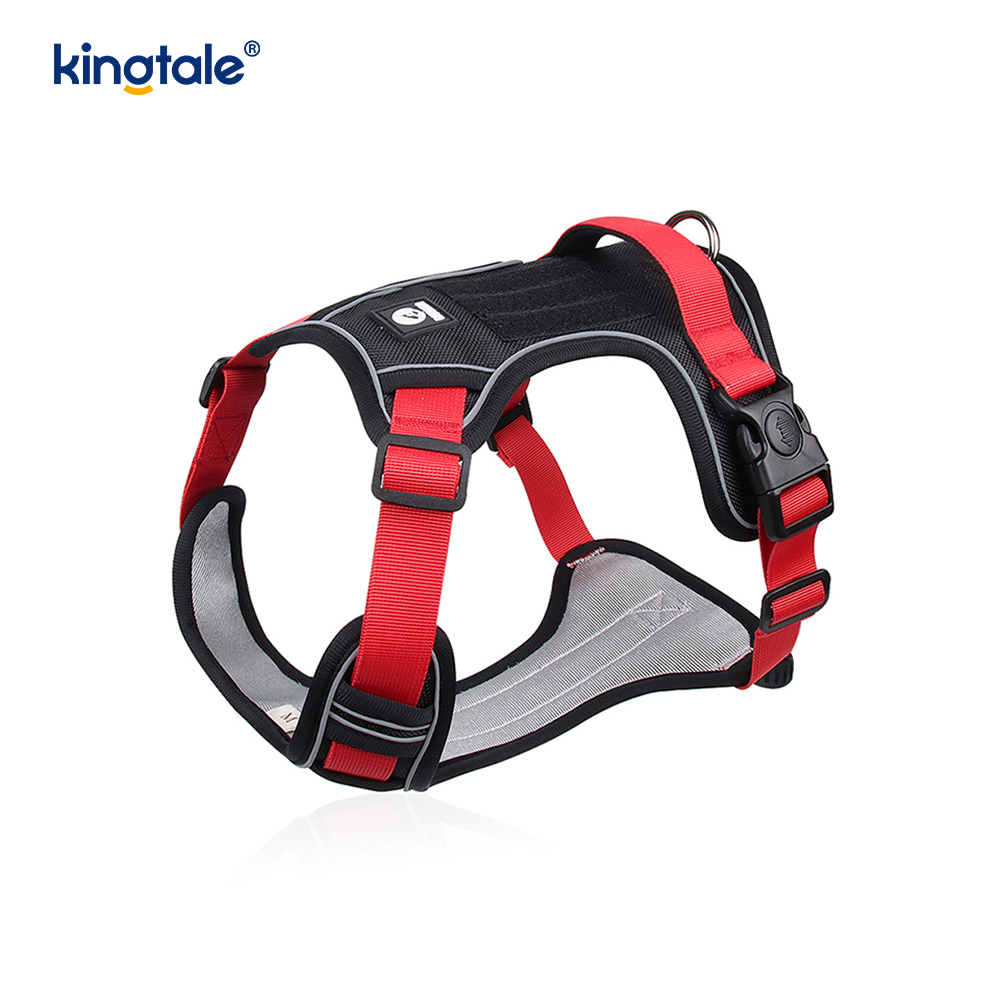 Rivet níolón Úim Spóirt Breathable Machnamhach Adjustable Le Leash Madraí