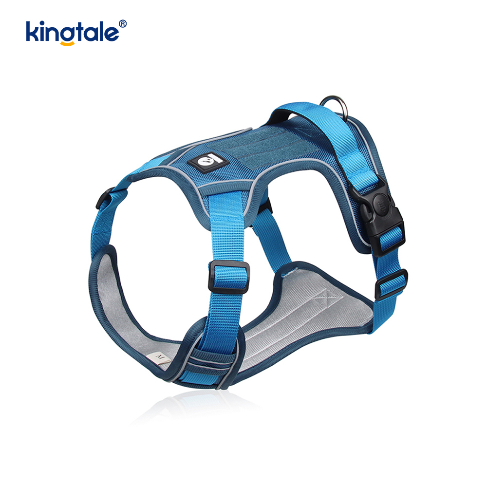 Rivet níolón Úim Spóirt Breathable Machnamhach Adjustable Le Leash Madraí