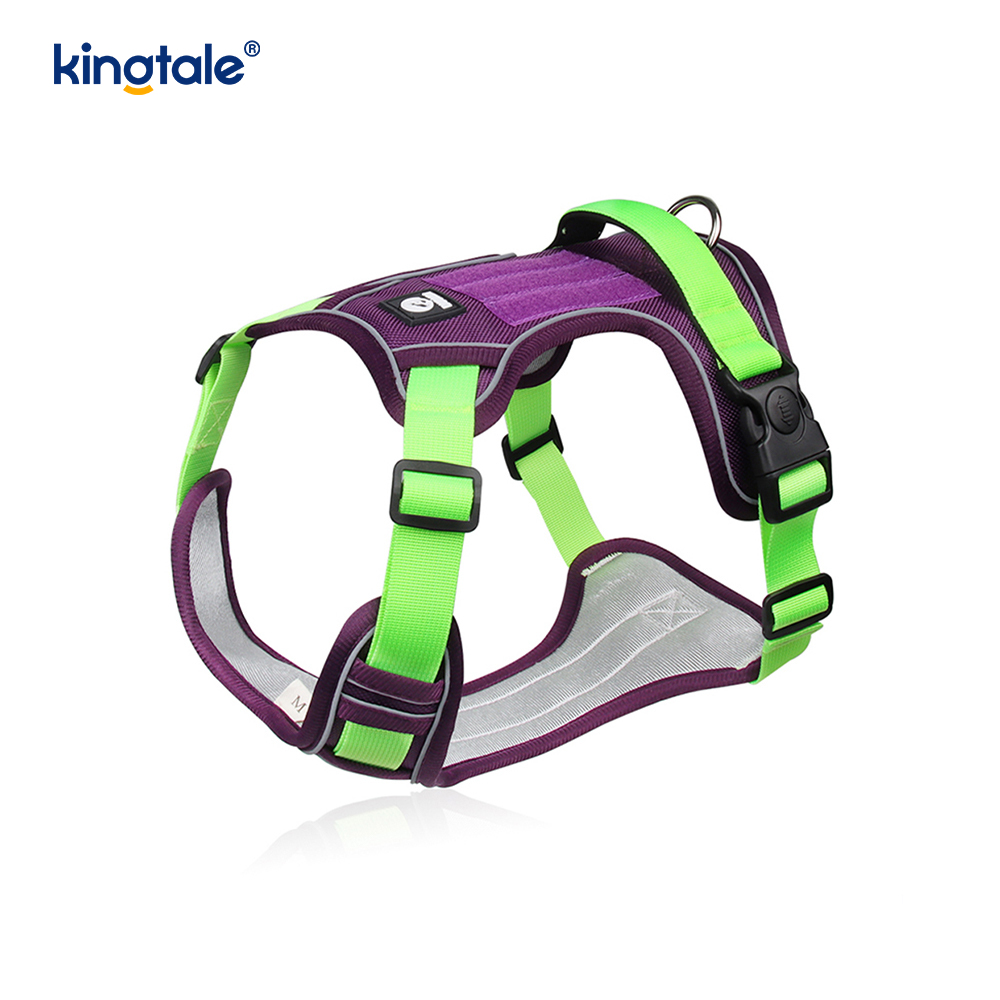 Rivet níolón Úim Spóirt Breathable Machnamhach Adjustable Le Leash Madraí