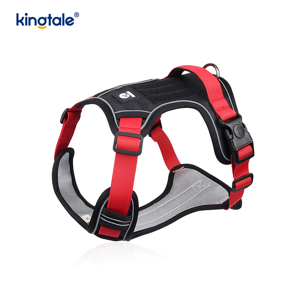 Rivet níolón Úim Spóirt Breathable Machnamhach Adjustable Le Leash Madraí