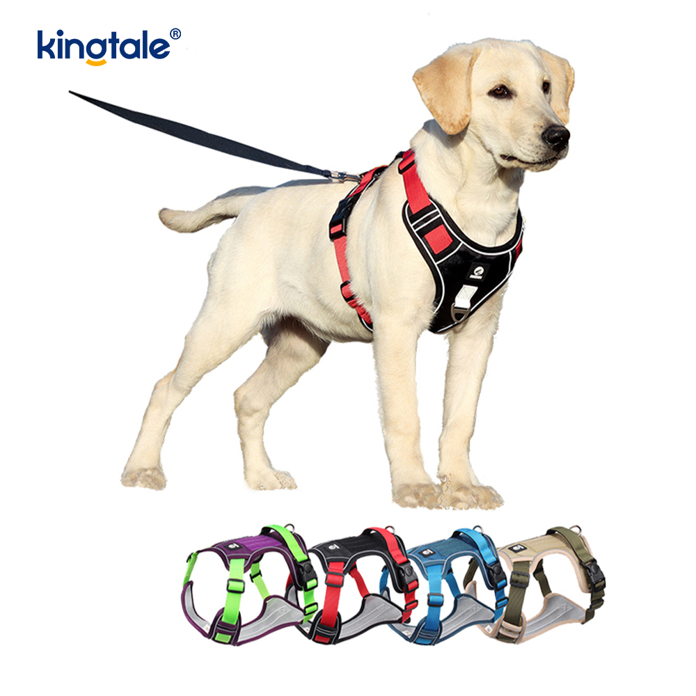 Rivet níolón Úim Spóirt Breathable Machnamhach Adjustable Le Leash Madraí