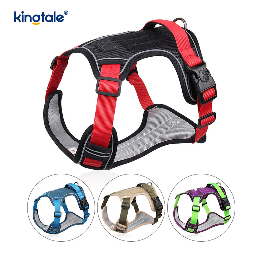 Rivet níolón Úim Spóirt Breathable Machnamhach Adjustable Le Leash Madraí