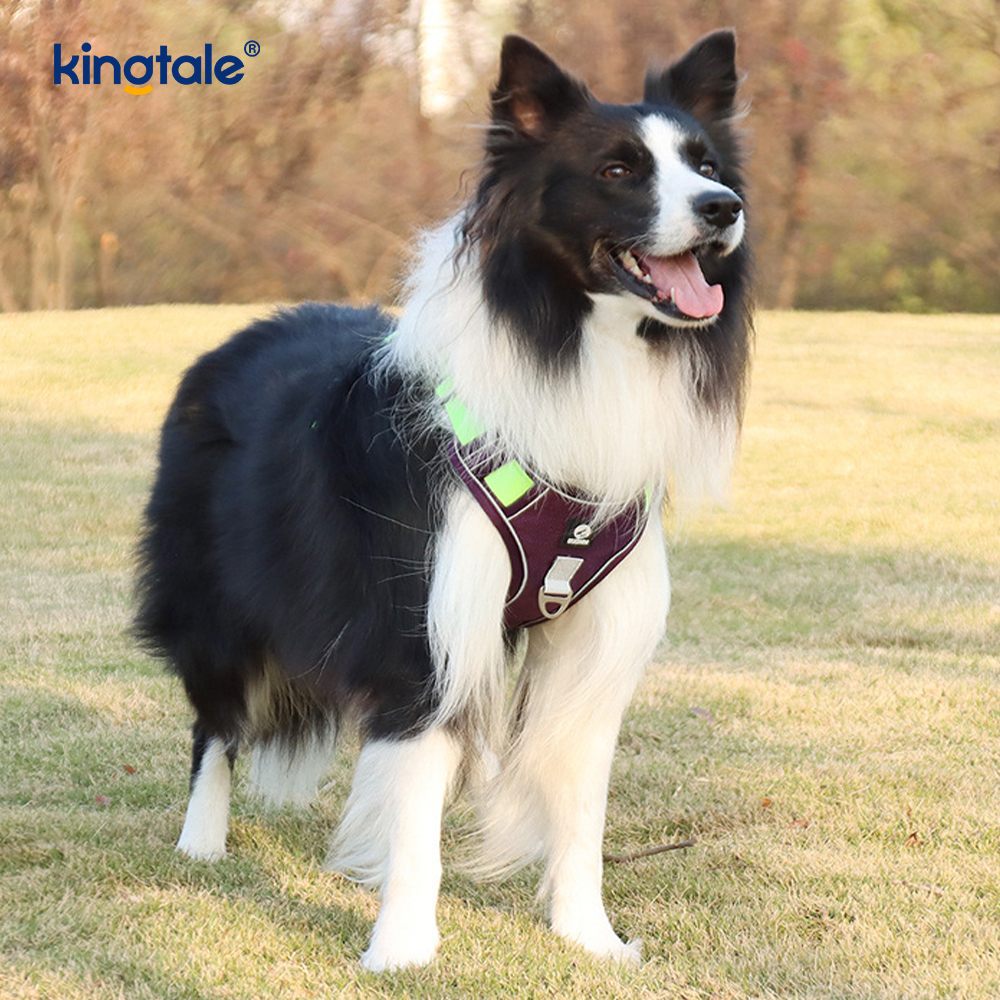 Rivet níolón Úim Spóirt Breathable Machnamhach Adjustable Le Leash Madraí