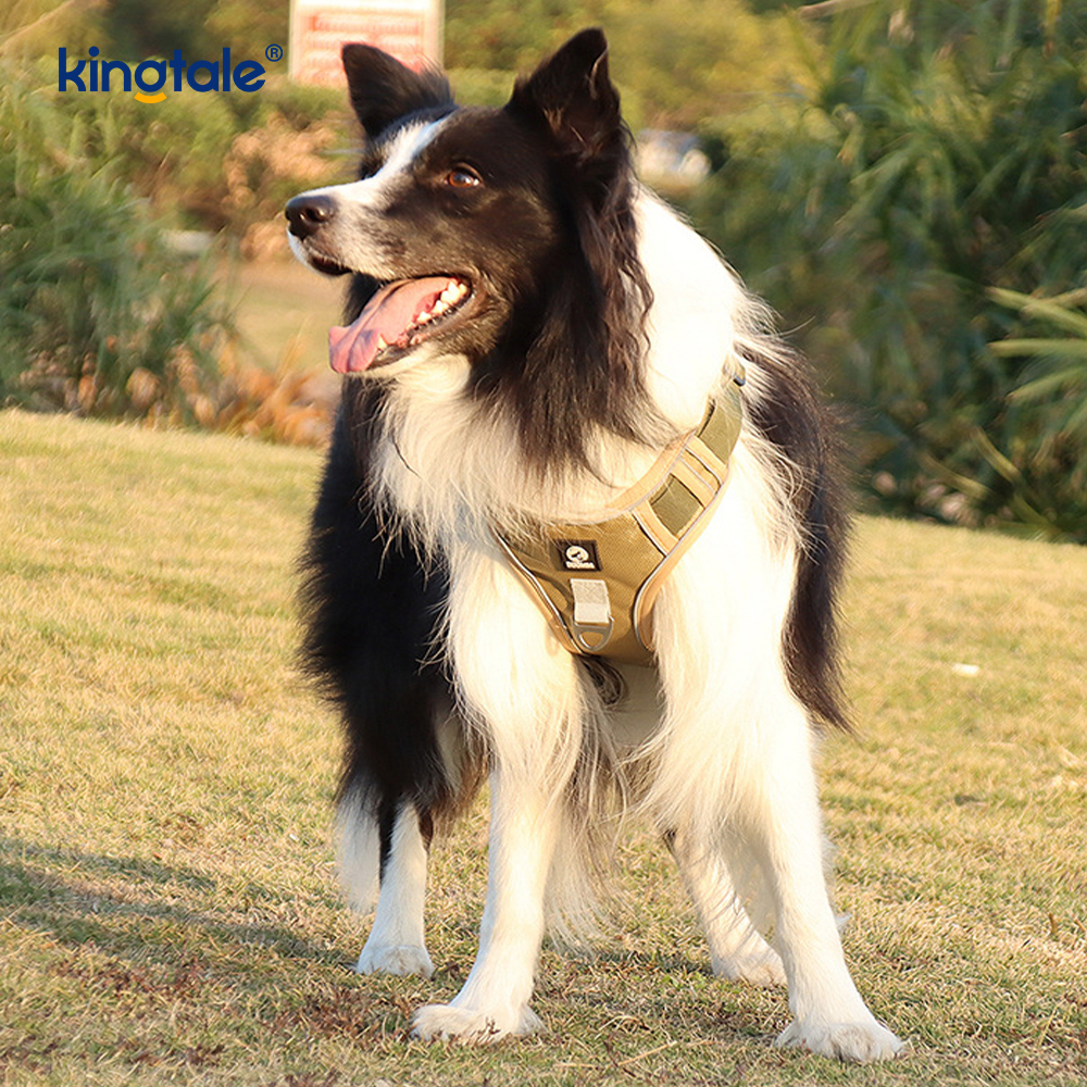 Rivet níolón Úim Spóirt Breathable Machnamhach Adjustable Le Leash Madraí