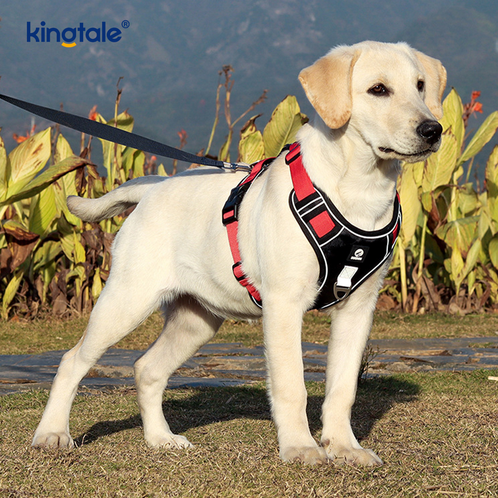 Rivet níolón Úim Spóirt Breathable Machnamhach Adjustable Le Leash Madraí