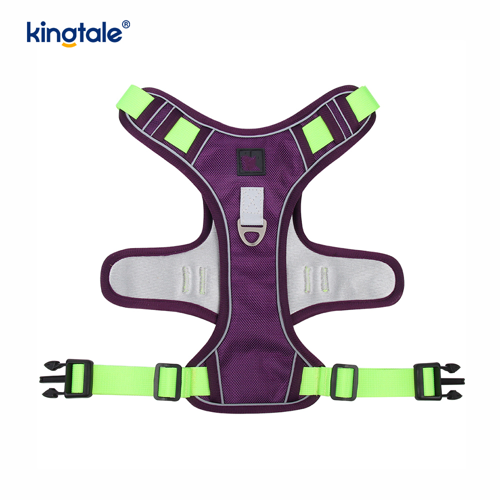 Rivet níolón Úim Spóirt Breathable Machnamhach Adjustable Le Leash Madraí