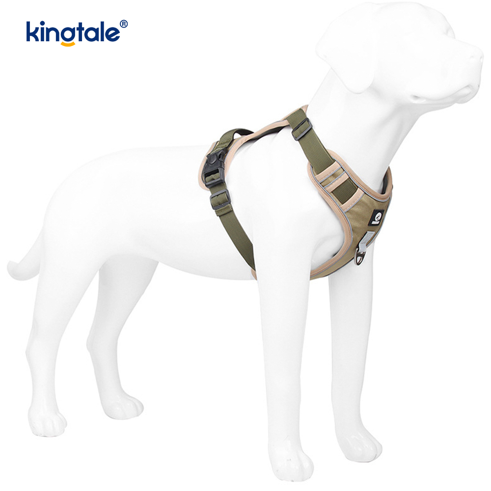 Rivet níolón Úim Spóirt Breathable Machnamhach Adjustable Le Leash Madraí