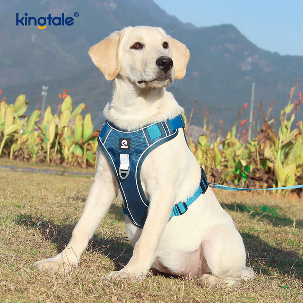 Rivet níolón Úim Spóirt Breathable Machnamhach Adjustable Le Leash Madraí