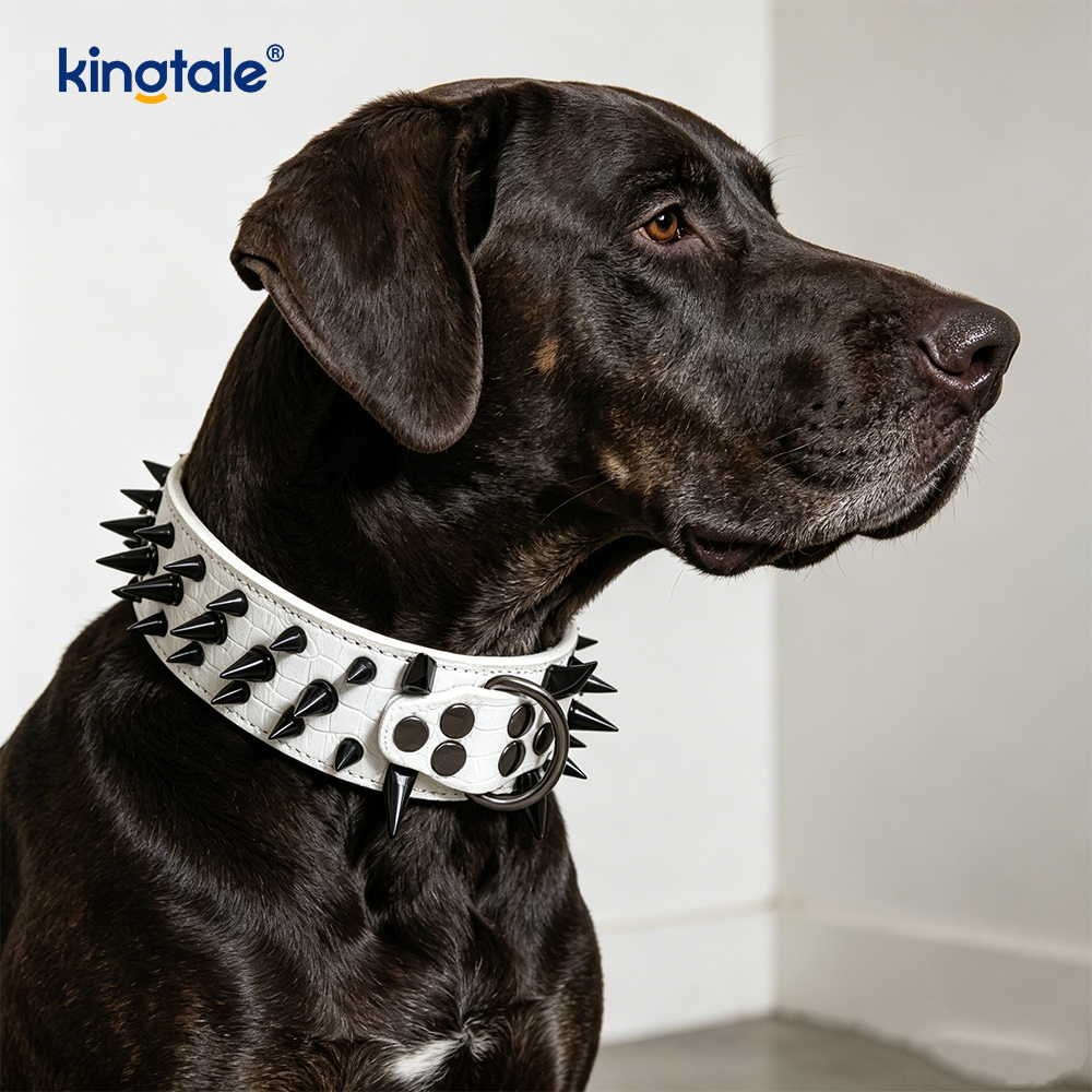 Collar Madra Studded Géar Spíc Coiléir Madra Leathar Stylish