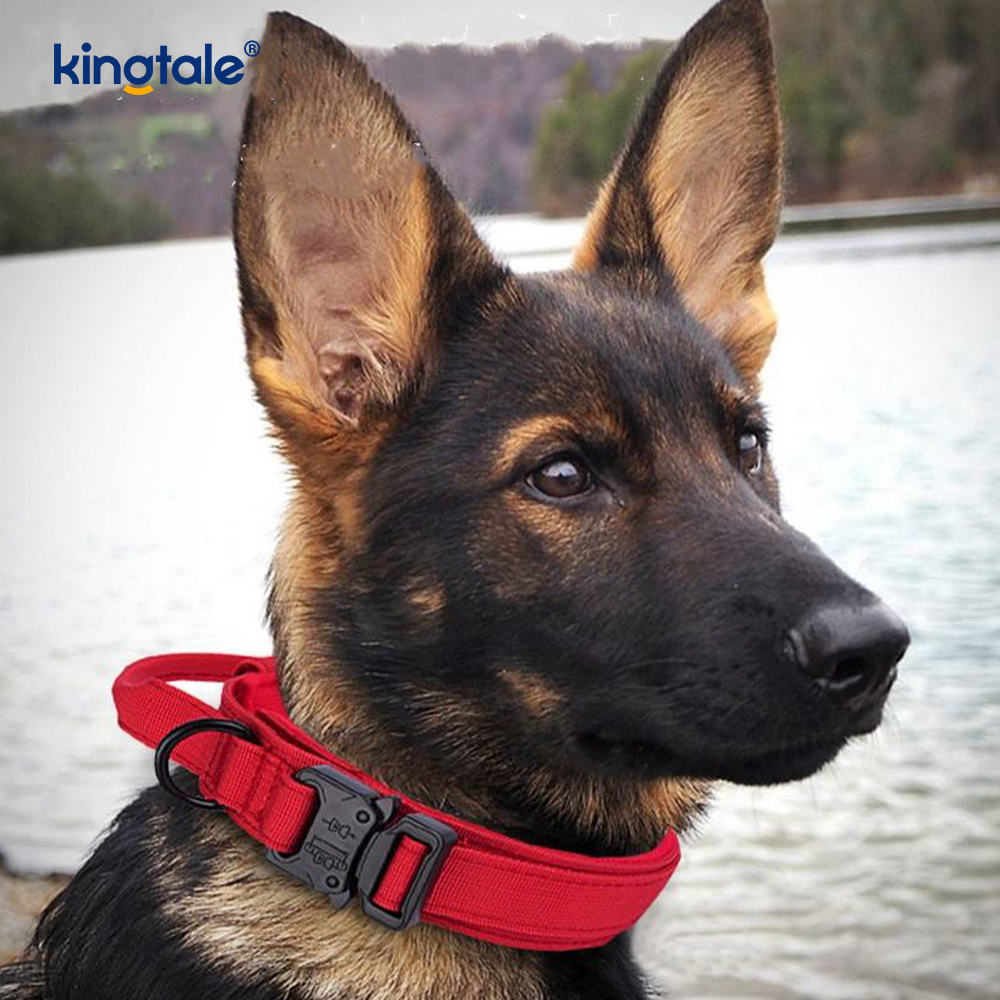 Rialú níolón CutsomTraining Láimhseáil Collar Búcla Miotail