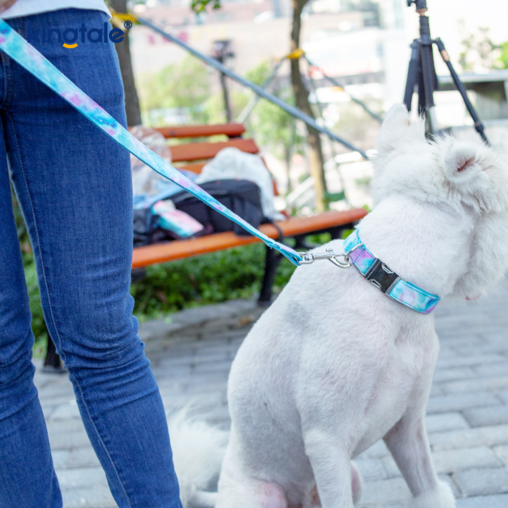 Dreamy Starry Sky Pet Collar Leash Muince Madraí Amazon-Style