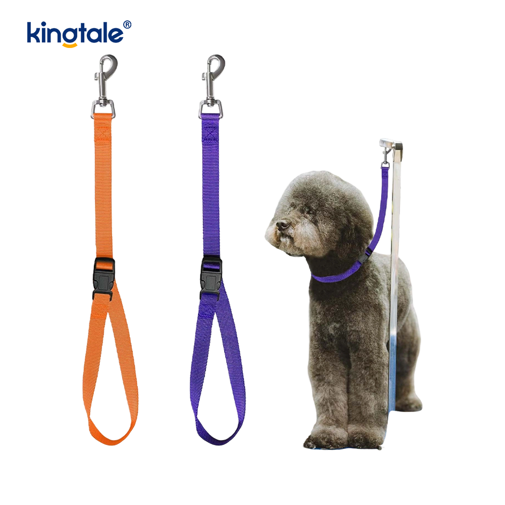 Srian Mórdhíola Grúmaeireachta Peataí Leash Strap Sábháilteachta Inchoigeartaithe