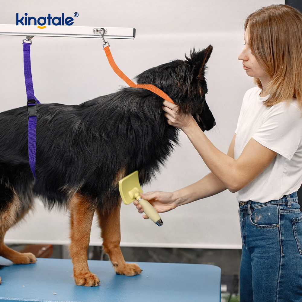 Srian Mórdhíola Grúmaeireachta Peataí Leash Strap Sábháilteachta Inchoigeartaithe