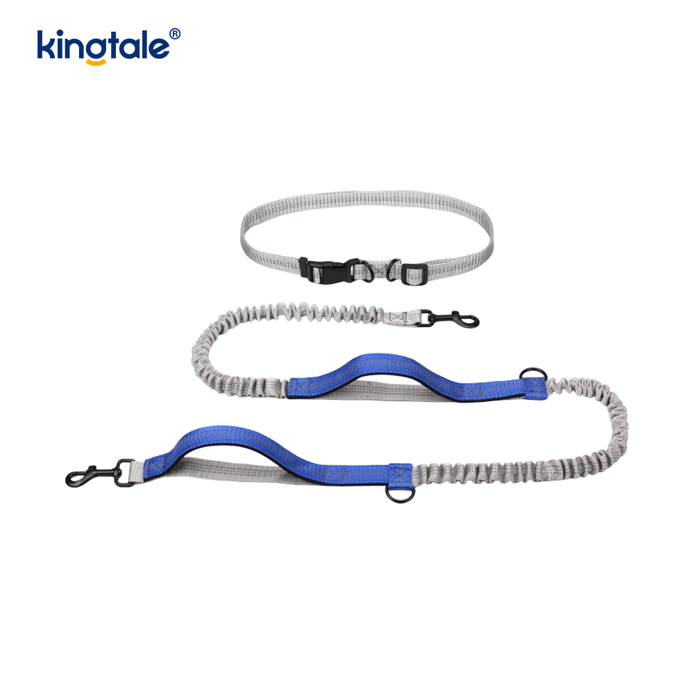 Leash Madra Machnamhach Dé-Retractable Amazon le haghaidh Rith Lasmuigh