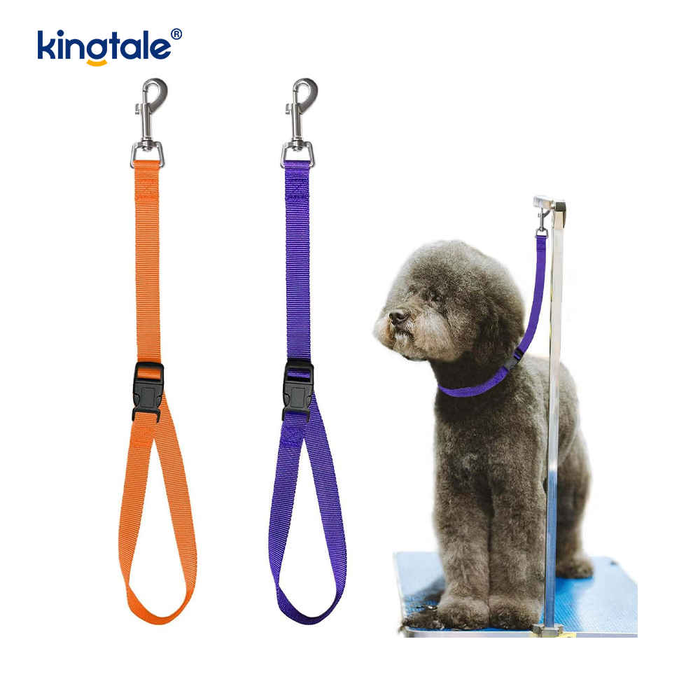 Srian Mórdhíola Grúmaeireachta Peataí Leash Strap Sábháilteachta Inchoigeartaithe