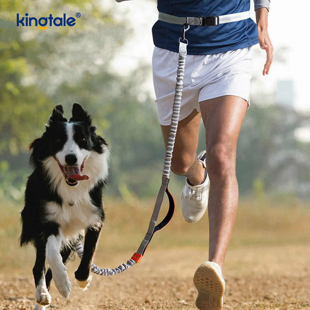 Leash Madra Machnamhach Dé-Retractable Amazon le haghaidh Rith Lasmuigh