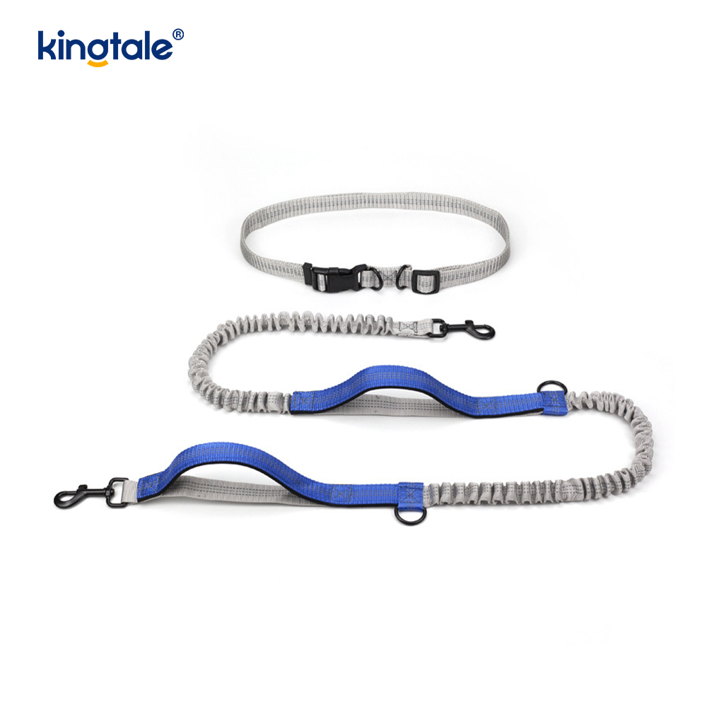 Leash Madra Machnamhach Dé-Retractable Amazon le haghaidh Rith Lasmuigh