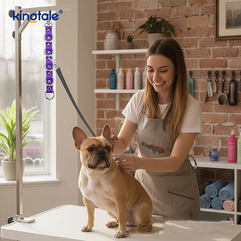 Síneadh Grooming Madraí Lúb Tábla Strapaí Leash le haghaidh Tábla Snámha