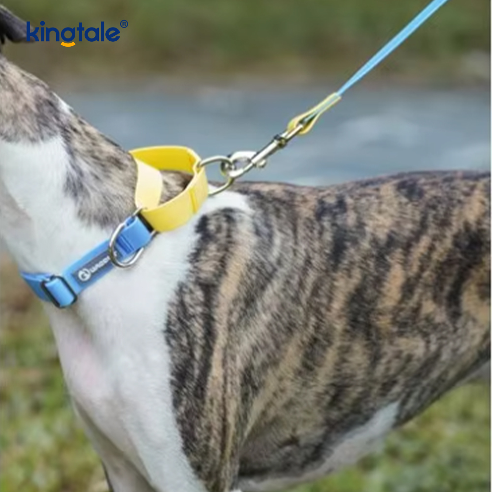 Madra leathair Leash Faisean só Soláthairtí Peataí níolón Simplí