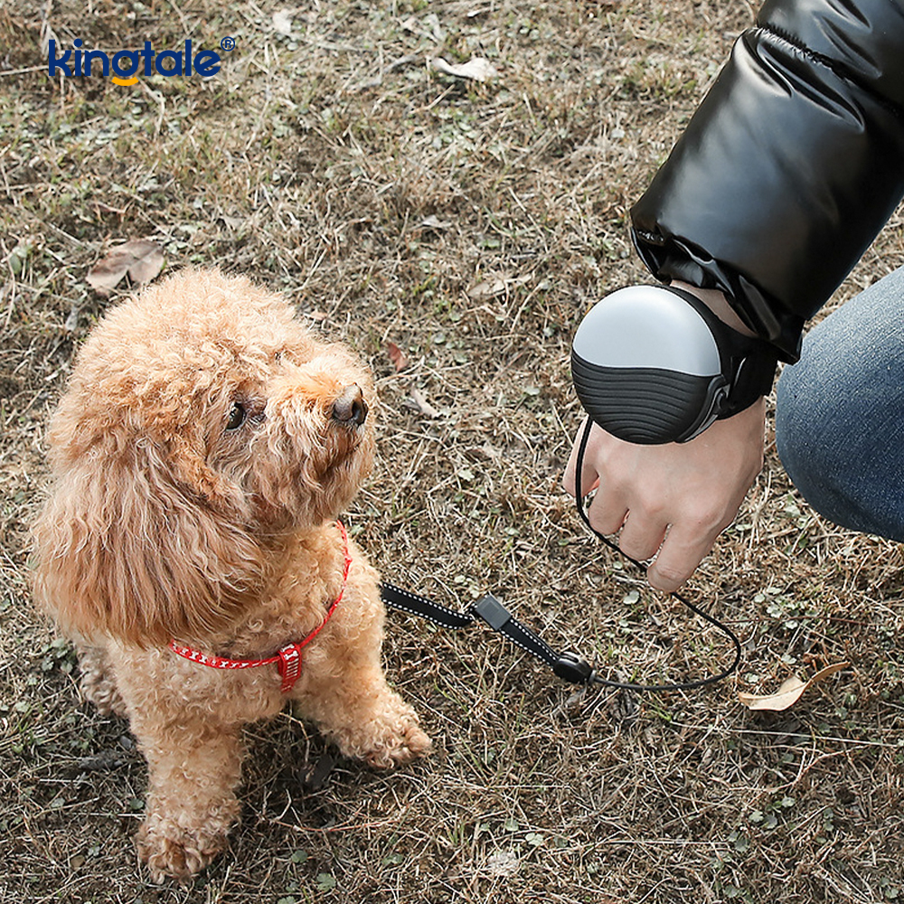 Luaidhe Stíl Wristwatch Pet Leash Retractable do Mhadraí Beaga Meánmhéide