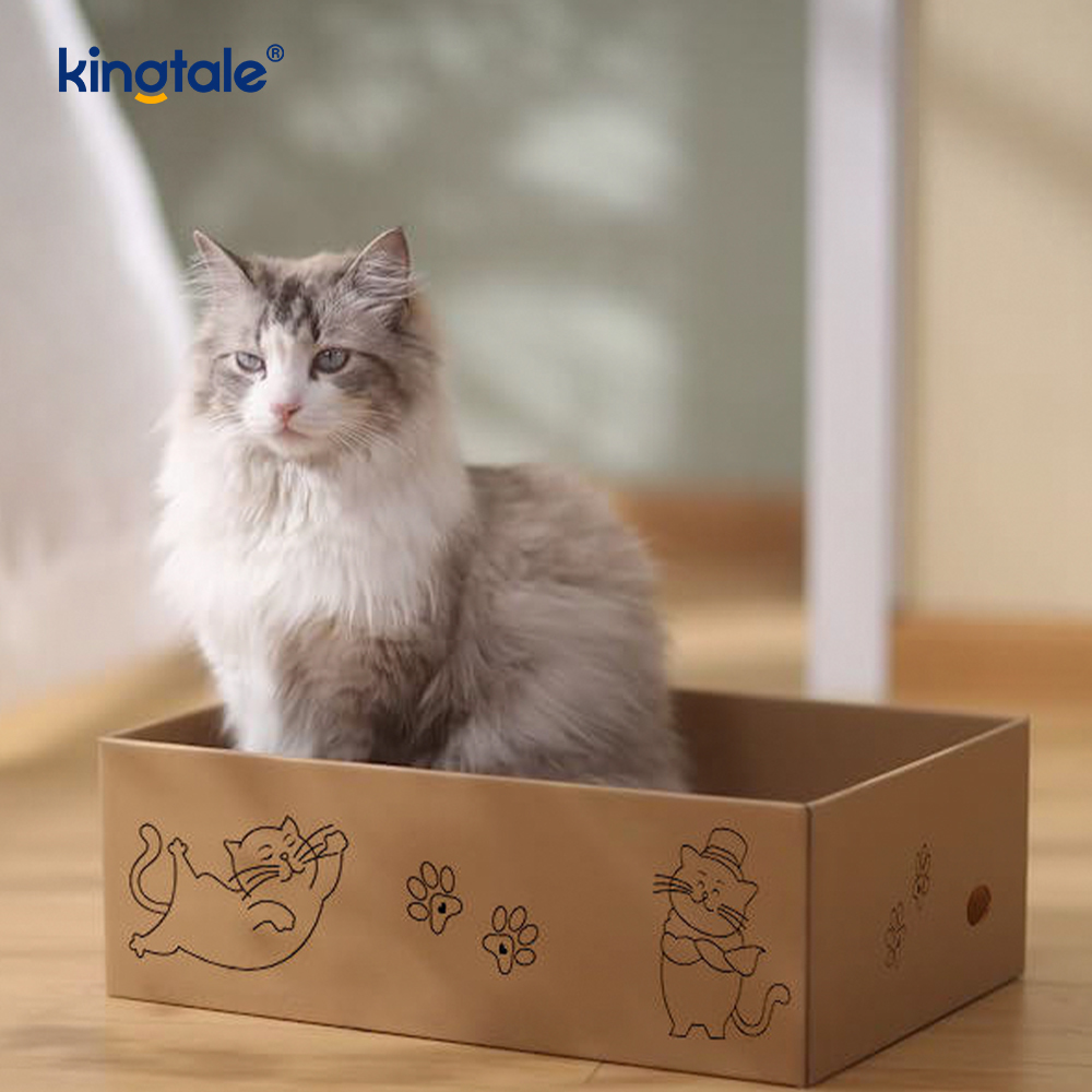 5 Pacáiste i 1 Pad Scratch Cat le Bosca Oiriúnach do Chait